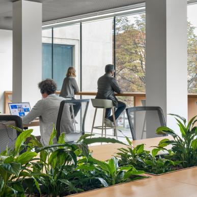 Postazioni di lavoro con piante integrate nei tavoli e persone sedute e in piedi vicino alle finestre.